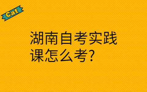 湖南自考實(shí)踐課怎么考