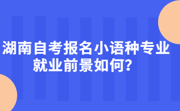 湖南自考報名小語種專業就業前景如何？