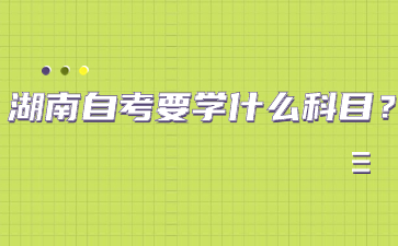 湖南自考要學什么科目?